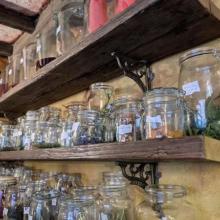 Ferienhaus Witchcraft And Wizardry -