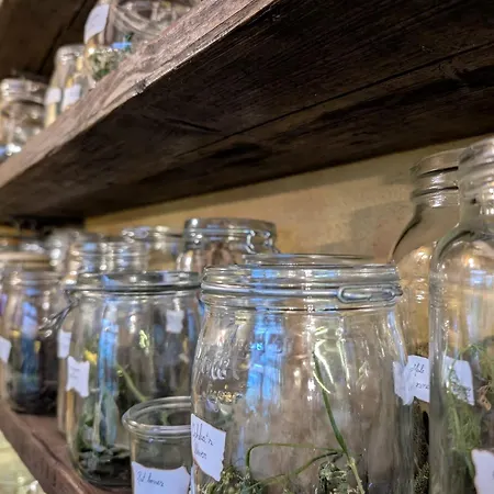 Witchcraft And Wizardry -